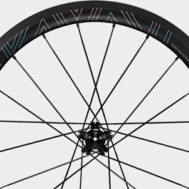 ワールドサイクルのHubsmith HS-Locust A406 Birdy用 11速 406 (20インチ) RB ホイールセット ブラック スチール (ハブスミス)｜アングル3
