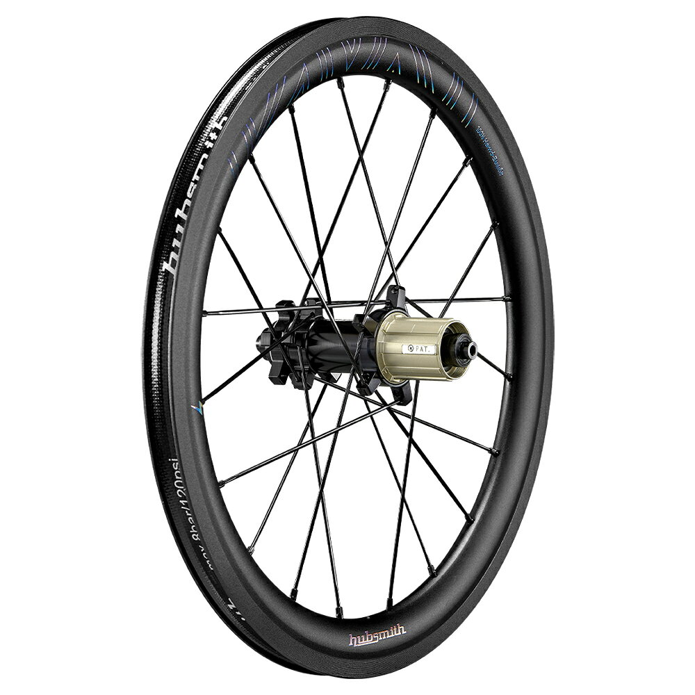 ワールドサイクルのHubsmith HS-Mantis A355 Birdy用 11速 355 (18インチ) DB ホイールセット ブラック スチール (ハブスミス)｜アングル3