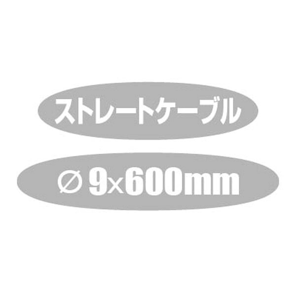 ワールドサイクルのTS BIKE ドギーロック ブルー｜アングル3