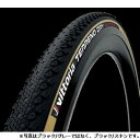 【送料無料】ビットリア TERRENO DRY TNT 700×31C ブラック/グレー グラフェン2.0