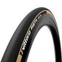 ビットリア PISTA CONTROL 28インチ×23mm幅 チューブラー ブラック/パラサイド グラフェン2.0