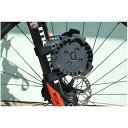 エロエ Fork Mount(4)