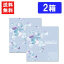 送料無料 ピュアナチュラルプラス55% 30枚入 ×2箱 ワンデー SHOBIDO コンタクトレンズ UVカット モイスト