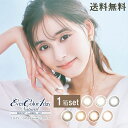 エバーカラーワンデー ナチュラル モイストレーベルuv 1箱 20枚入×1箱 カラコン カラーコンタクト コンタクト 度あり 度なし ワンデー エバーカラー エバーカラーワンデー モイスト UV(4)