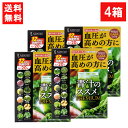 健翔 青汁のススメPREMIUM 20包×4個 国産 九州産 美味しい 美味 大麦若葉 ケール 明日葉 契約農家 栄養 無農薬 温暖 マイルド ビタミンE カルシウム 鉄分 栄養 バランス