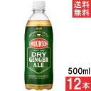 アサヒ飲料 ウィルキンソン ドライジンジャエール 500ml 12本