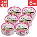 伊藤食品 美味しいツナ まぐろ水煮 70g×6個 赤