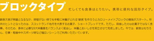 大塚製薬 カロリーメイト ブロック チーズ4本×4箱 栄養 空腹解消 手軽 チーズ味 2