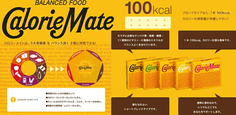 大塚製薬 カロリーメイト ブロック チーズ4本×4箱 栄養 空腹解消 手軽 チーズ味 3