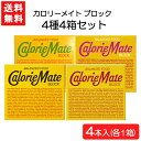 大塚製薬 カロリーメイト ブロック4本入 4種 各1箱 チーズ フルーツ チョコレート メープル 4箱セット