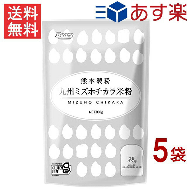 九州ミズホチカラ米粉 300g 5袋 グルテンフリー 熊本製粉 九州産 ミズホチカラ100%