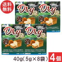 パイオニア企画 白神こだま酵母ドライG 40g(5g×8袋)×4個 送料無料