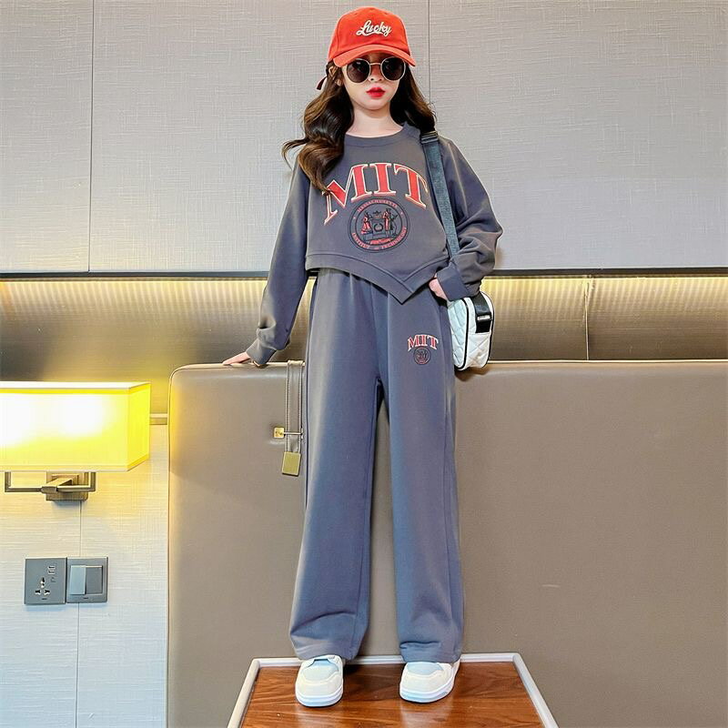 乐天商城 - キッズ 上下セット 子供服 女の子 セットアップ ジュニア 春秋 パーカー パンツ トップス+パンツ ダンス衣装 長袖パーカー 韓国服 秋 小学生 ガールズ スポーツ ウェア 運動着 ランニング 長袖 女の子 KSFC003(2色120-170)