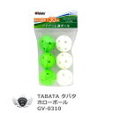 TABATA タバタ ホローボール アイアンショット向き練