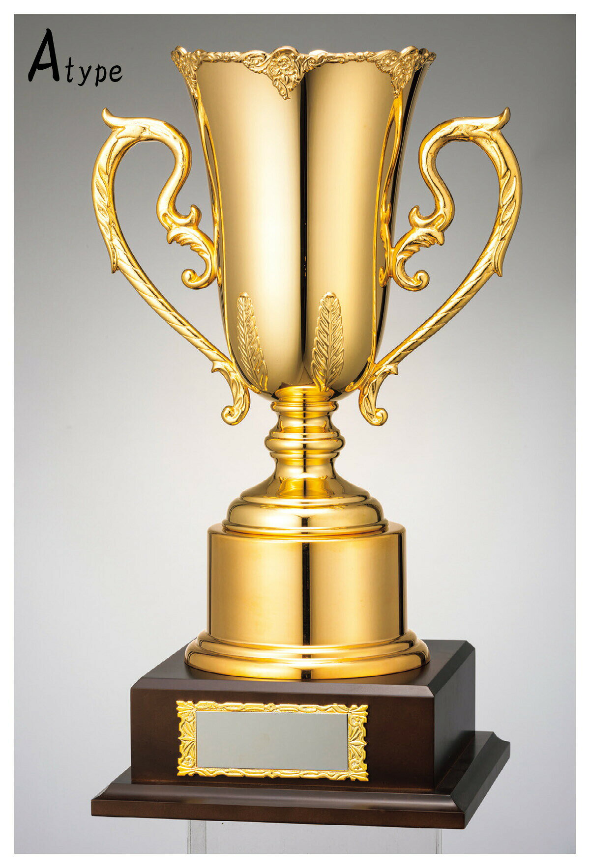 ͥ�� ��� ����� ����� �������� V-Shika ����������� ���󥴡���ɥ��å� SG.1700-A A ��IR��