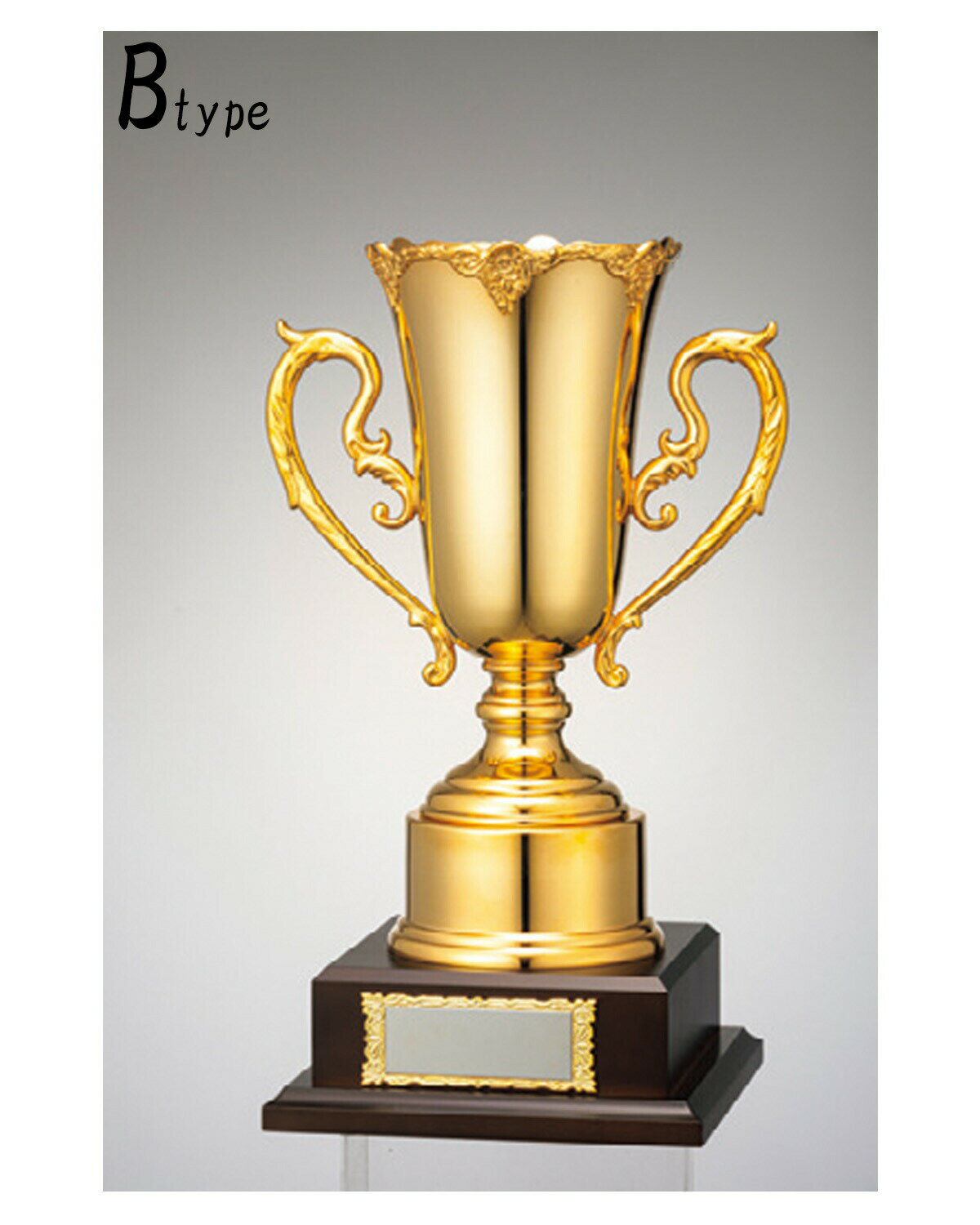 ͥ�� ��� ����� ����� �������� V-Shika ����������� ���󥴡���ɥ��å� SG.1700-B B ��IR��