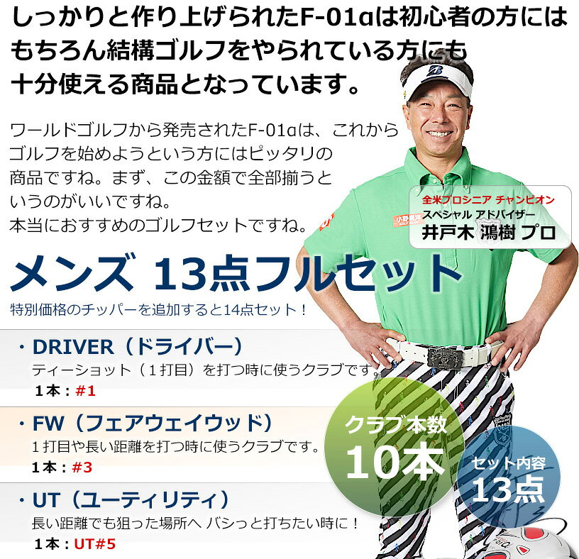 ワールドゴルフのアウトレット品（わけあり 展示 撮影） メンズゴルフセット ワールドイーグル F-01α フルセット 右利き用 フレックスS ブラックシルバーバッグ｜アングル2