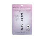 ビルベリープラスファイテン 0620GS595000【IRN】(4)