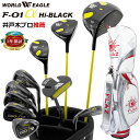 ゴルフセット メンズ F-01ハイブラック クラブセット 13点セット FLAZ キャディバッグ付き クラブ10本 ヘッドカバー2ヶ ドライバー フェアウェイウッド ユーティリティ アイアン パター 初心者 右利き カーボン スチール 一式 井戸木プロ推薦【add-option】