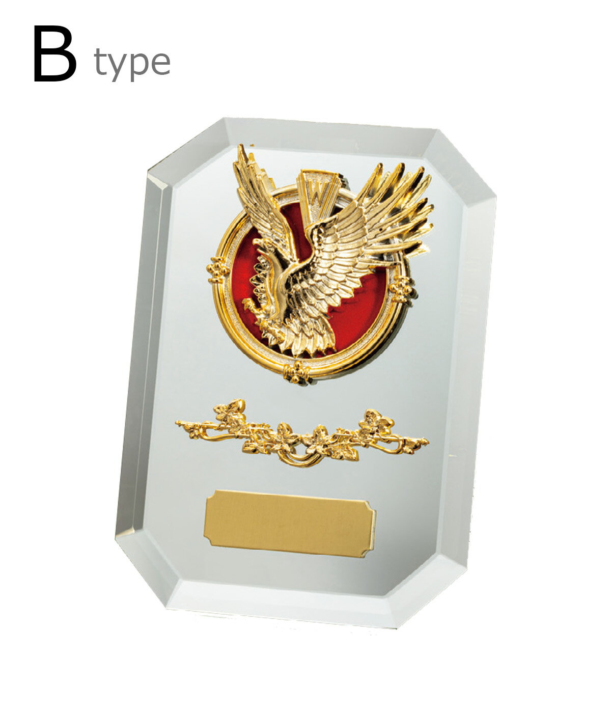 ͥ�� ��� ����� ����� �������� V-Shika ����������ɽ� VS.5111-B��IRN��