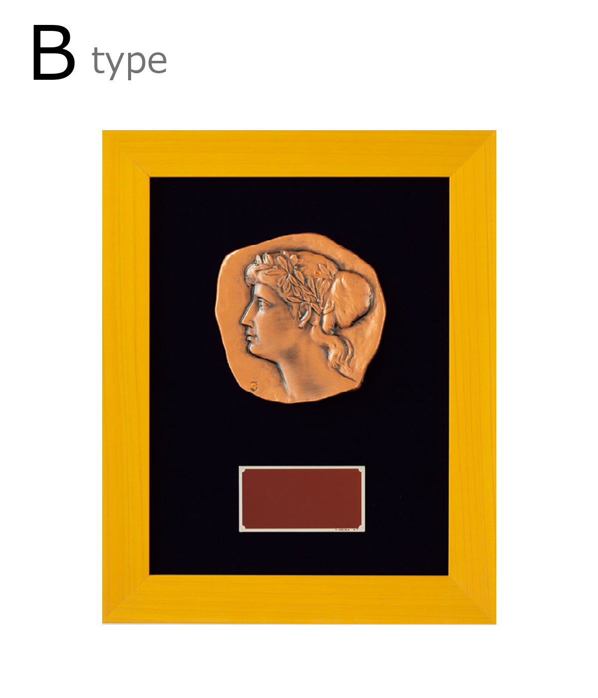 ͥ�� ��� ����� ����� �������� V-Shika ����������ɽ� VS.5063-B��IRN��