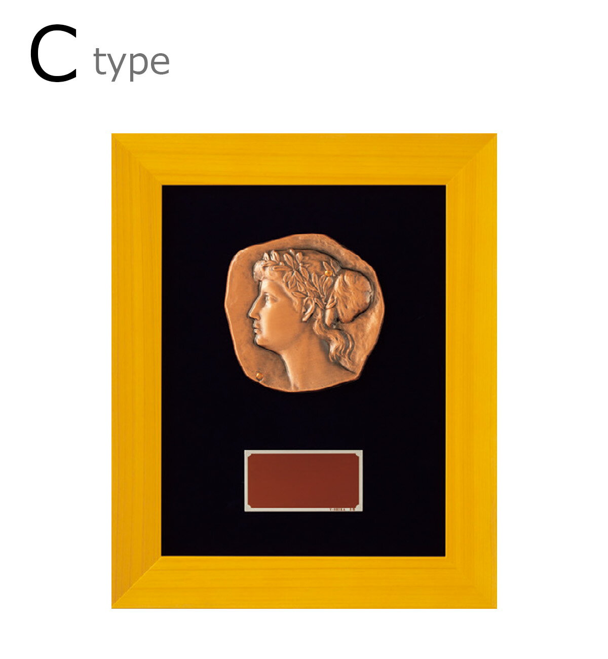 ͥ�� ��� ����� ����� �������� V-Shika ����������ɽ� VS.5063-C��IRN��