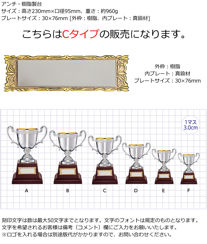 ワールドゴルフの優勝 大会 ゴルフ コンペ 松下徽章 ノーブルカップ No.2150-C Cタイプ 【IR】｜アングル2