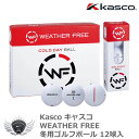 ゴルフ用品 ラウンド用品 ゴルフボール キャスコ WEATHER FREE 冬用ゴルフボール 12球入 冬用 ホワイト 【IR】
