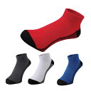 Colantotte コラントッテ スポーツ Pro-Aid Socks プロエイドソックス AMMMA【IRN】