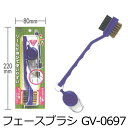 クリーニング メンテンナンス 手入れ TABATA タバタ フェースブラシ GV-0697 【IR】