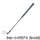 ゴルフ用品 練習用品 スイング ライト ショートクラブ R G-142 【IR】