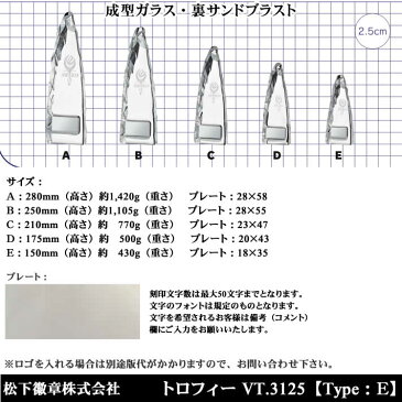 松下徽章 トロフィー VT3110 E