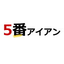 数量限定！早い者勝ち！スチールシャフト右用5番アイアンフレックスS