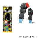 クリーニング メンテンナンス 手入れ ダイヤゴルフ スリーウェイキット AS-443 【IR】