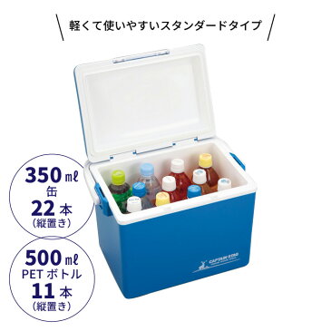 バック ボックス クーラー 箱 クーラーボックス クーラーバッグ BOX 保冷 冷たい 保冷バック 保冷ボックス 保冷ケース ケース 14L 小型 クーラーBOX 大容量 アウトドア レジャー 海 キャンプ 容量 たっぷり ドリンク