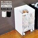 【楽天スーパーSALE10%OFF】【値下げ】ダストボックス 2分別 幅30 奥行29 ごみ箱 分別 スチール製 ダストワゴン 目隠し ゴミ箱 日本製 清潔感 ...