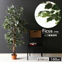 【楽天スーパーSALE10%OFF】観葉植物 フェイク 大型 フェイクグリーン フィカス 高さ 160cm 6号鉢対応 人工 造花 フェイク グリーン シンプル...