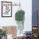 【値下げSALE】観葉植物 壁掛け 吊り下げ ミカヅキネックレス フェイクグリーン ハンギング 壁飾り 雑貨 インテリアガーデン お手入れ不要
