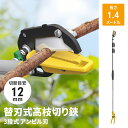 【楽天スーパーSALE10%OFF】高枝切りバサミ 1.4〜3.1m 3段式 18段伸縮 高枝切り はさみ キャッチ機能 アンビル刃 薄刃 刃交換可 枝切り 果...