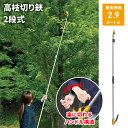 高枝切りバサミ 1.7〜2.9m 2段式 13段伸縮 高枝切 はさみ キャッチ機能 プッシュカット 押して切る アンビル刃(4)