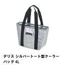 【ポイント5倍 06/05 09:59まで】保冷バッグ 4L 小型 トート型 クーラーバッグ 幅30 奥行12.5 高さ19 コンパクト 収納 便利 おしゃれ ...