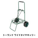 【ポイント5倍 08/22 12:00-09/05 09:59】カート 折りたたみ アウトドア キャリー 幅56 奥行52 高さ99 2輪 BBQ 持ち運び 便...