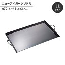 【楽天スーパーSALE10%OFF】鉄板 バーベキュー アウトドア 縁あり 幅70 奥行45 高さ2.7 浅め 長方形 取っ手付き BBQ用 焼肉 プレート フチあり フライパン