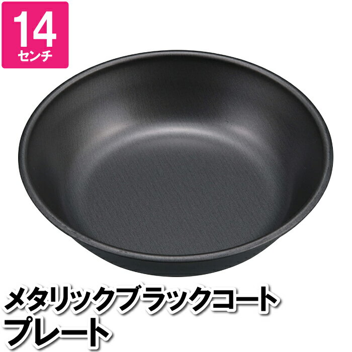 【楽天スーパーSALE10%OFF】プレート カレー皿 平皿 黒 ブラック 鉄 14cm 汚れにくい 取り皿 パスタ サラダ ペット 食器 餌皿 日本製 国産