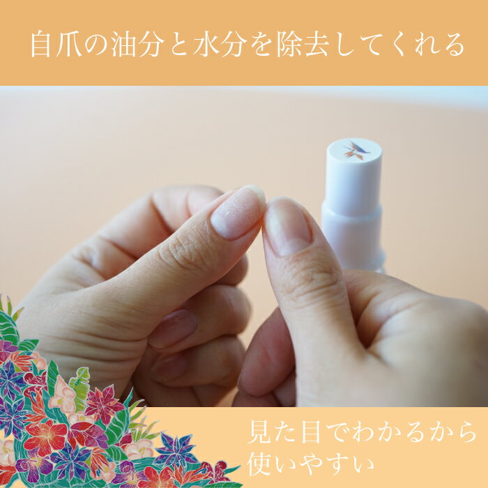 �ץ�ץ饤�ޡ� �� �ԡ��륪�ե١��������륻�å�