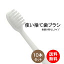 歯ブラシ 10本入り ハミガキ粉無し 業務用 使い捨て 送料無料 はぶらし 清掃用 掃除用 工業用 ハブラシ