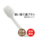 歯ブラシ 20本入り ハミガキ粉無し 業務用 使い捨て 送料無料 はぶらし 清掃用 掃除用 工業用 ハブラシ