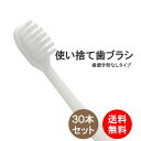 歯ブラシ 30本入り ハミガキ粉無し 業務用 使い捨て 送料無料 はぶらし 清掃用 掃除用 工業用 ハブラシ