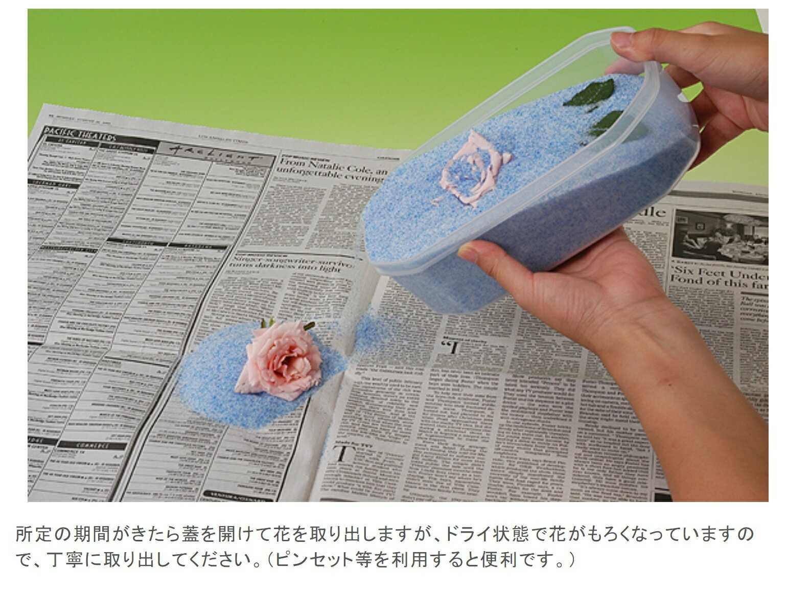 何回でも再生使用できる ドライフラワー用乾燥剤 シリカゲル ドライフラワー用 乾燥剤 1kg 2個セット 細粒タイプ 流行のアイテム ハンドメイド 業務 用 手作り 送料無料 材料 花材 豊田化工 大容量