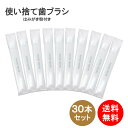 歯ブラシ 使い捨て 30本セット ハミガキ粉 3g 付き 業務用 国産ハブラシ 日本製 清掃用 掃除用 工業用 ハブラシ 送料無料